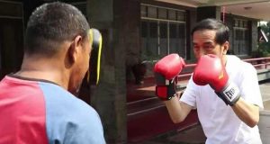 jokowi boxing