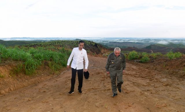 Presiden Tinjau Lokasi Ibu Kota Negara Baru