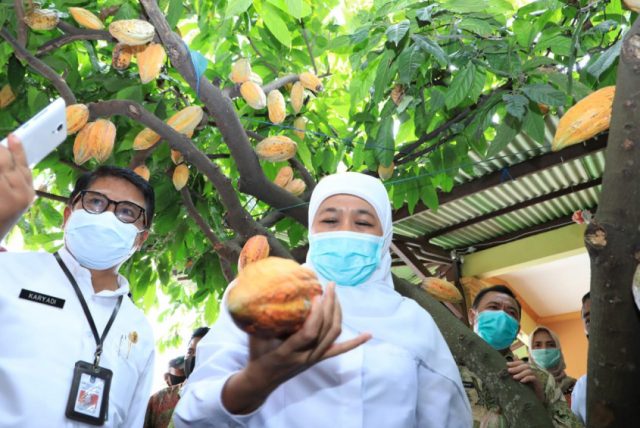 Gubernur Ajak Pelaku UMKM Agresif Ajukan Kredit Pinjaman ke Bank Jatim dan Bank UMKM Jatim