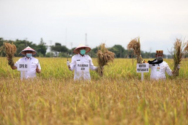 Menteri Pertanian Dukung Pengembangan Ekonomi Petani di Aceh