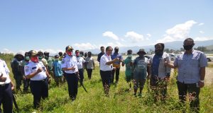 Kemenhub Selenggarakan Program Padat Karya Di Bandara Wamena