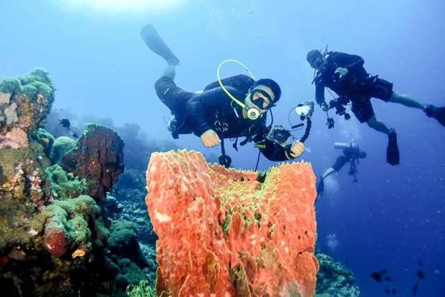 Menparekraf Dorong Pengembangan Sektor Parekraf di Sulawesi Barat