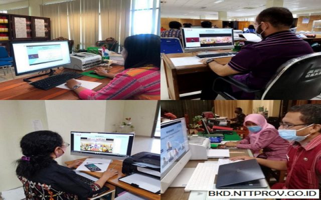 Pejabat Fungsional Kepegawaian Ikuti Workshop Nasional Secara Daring