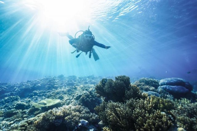 Menparekraf Jajal Wisata Bawah Laut di Sawandarek Raja Ampat