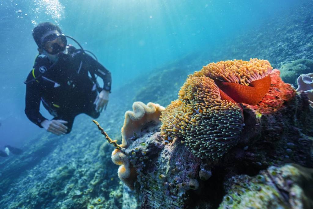 Menparekraf Jajal Wisata Bawah Laut di Sawandarek Raja Ampat