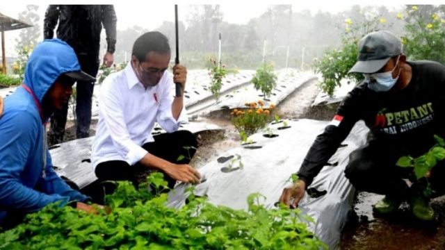 Dialog dengan Presiden, Petani Wonosobo Ungkapkan Manfaat Lumbung Pangan bagi Mereka