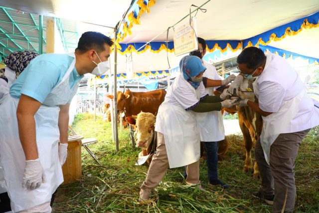 Tinjau Posko Penyerahan Hewan Kurban Pemprov Jatim, Plt. Gubernur Jatim Pastikan Kualitas Hewan Terjamin Sehat