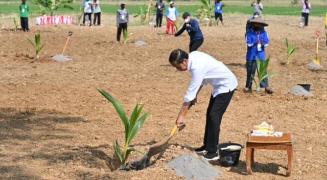 Antisipasi Krisis Pangan, Presiden Dorong Pemanfaatan Lahan Pekarangan dan Lahan Tidak Produktif