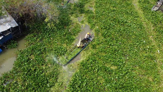 Lamongan Galakkan Gerakan Perahu Sikat Eceng Gondok