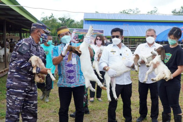 Jelang Iduladha, Ini Langkah Preventif DPKP Kaltara Antisipasi Virus PMK