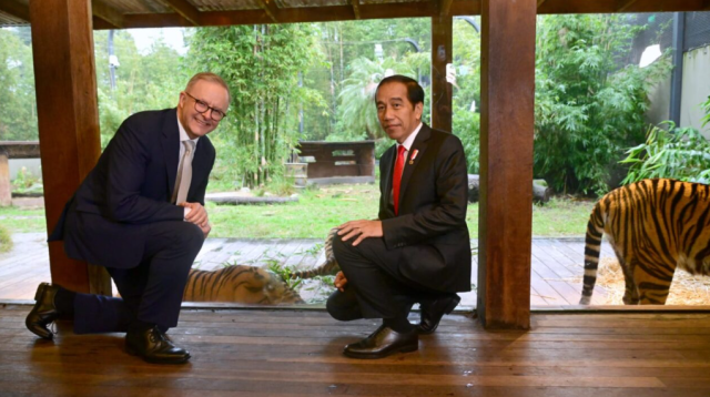 Suasana Hangat Selimuti Kunjungan Presiden Jokowi dan PM Albanese ke Sumatran Village