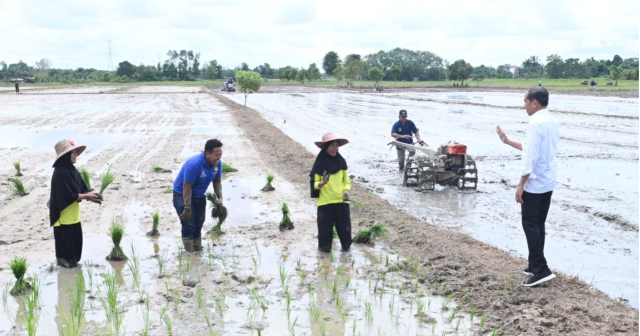 Respons Potensi Kekeringan Panjang, Presiden Tinjau Pompanisasi di Kotawaringin Timur