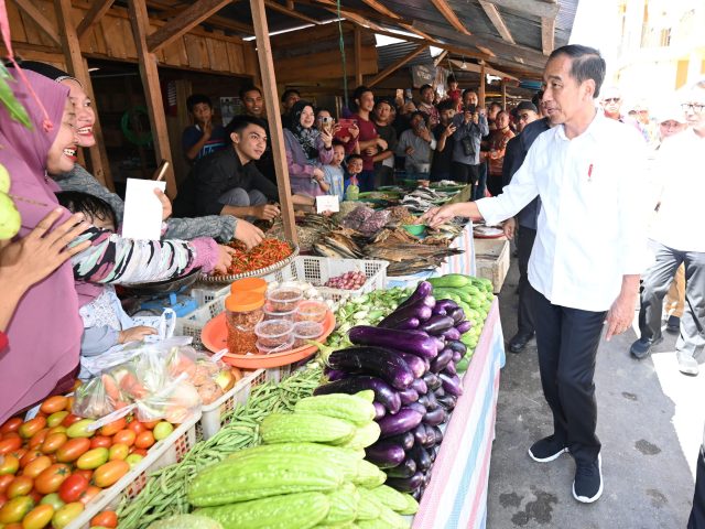 Presiden Jokowi Cek Harga Bahan Pokok di Pasar Beringin Buntok