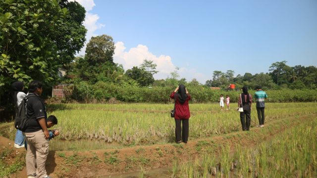 Pesona Desa Wisata Kandri: Mahasiswa USM Tangkap Keindahan Lewat Lensa Kamera