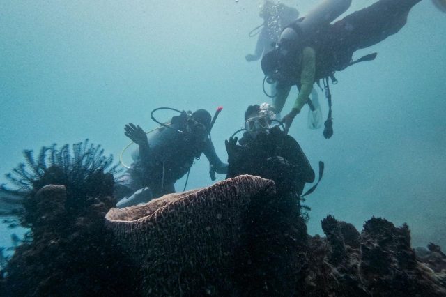 Menparekraf Lakukan Transplantasi Terumbu Karang di Desa Wisata Pulau Pramuka Wujud Praktik Pariwisata Berkelanjutan