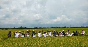 Pemprov Jawa Timur Pastikan Penyerapan Gabah untuk Lindungi Petani